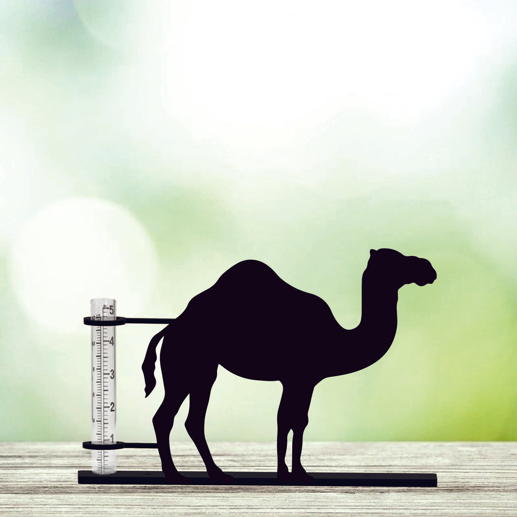 Camel Rain Gauge