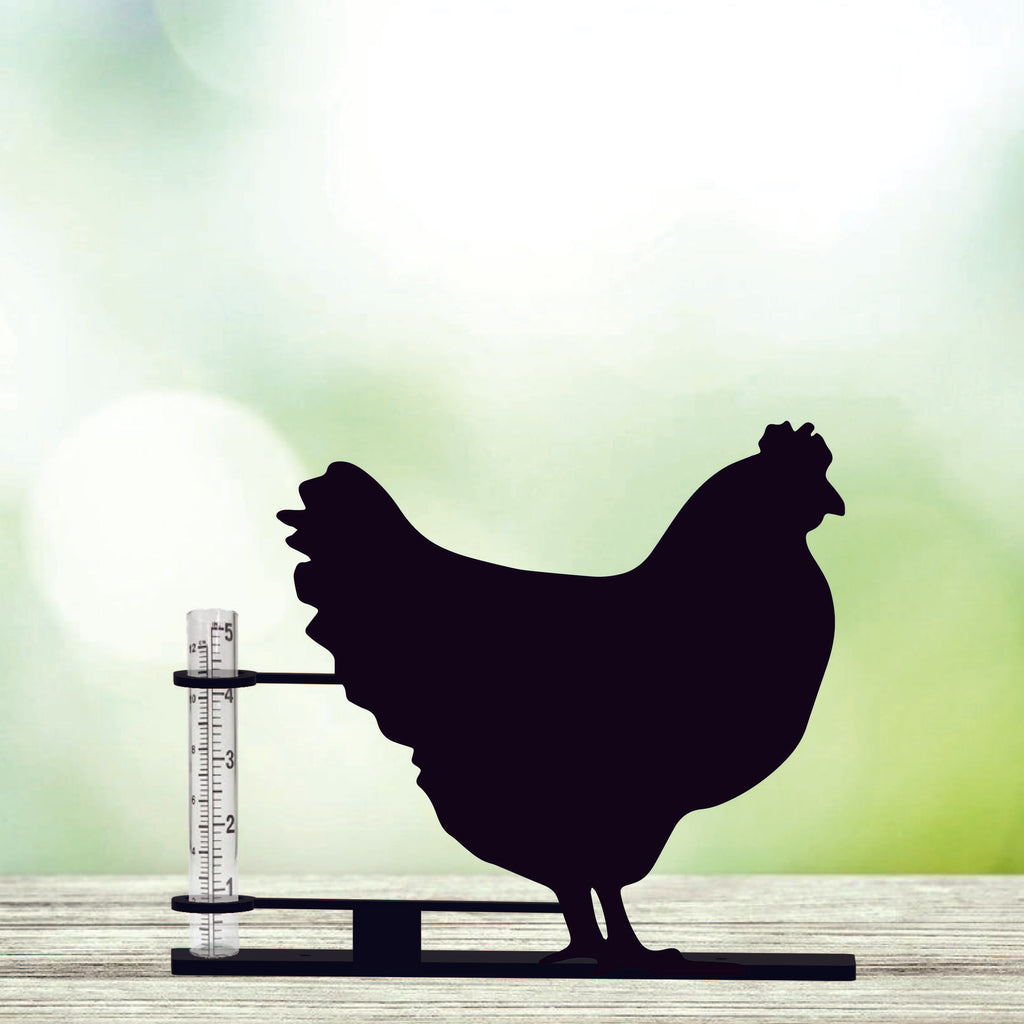 Chicken Rain Gauge