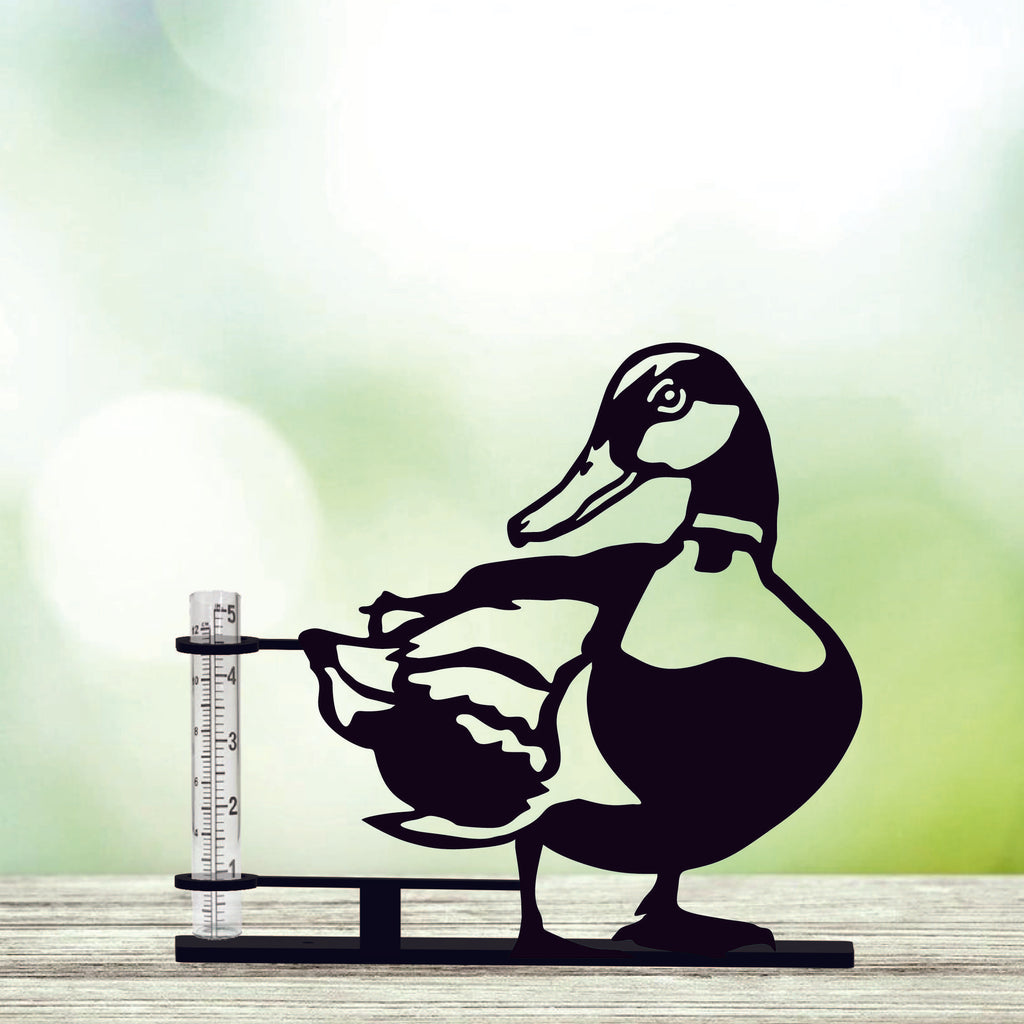 Duck- Rain Gauge