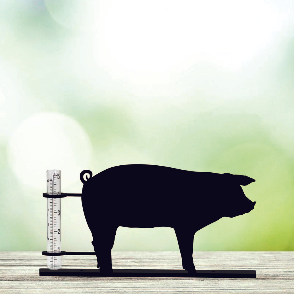 Pig - Rain Gauge