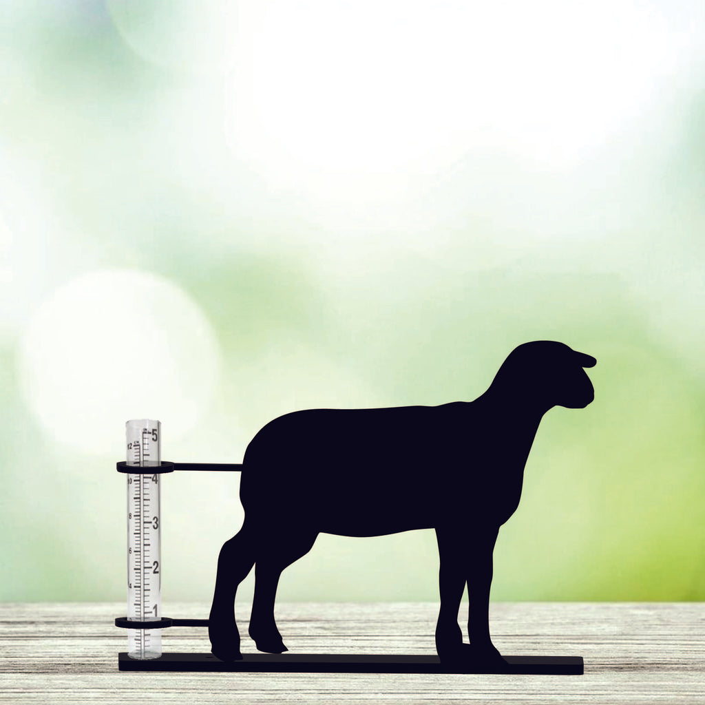 Show Lamb - Rain Gauge