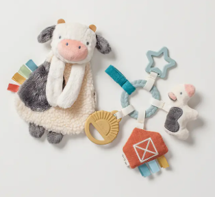 Bitzy Busy Gift Set