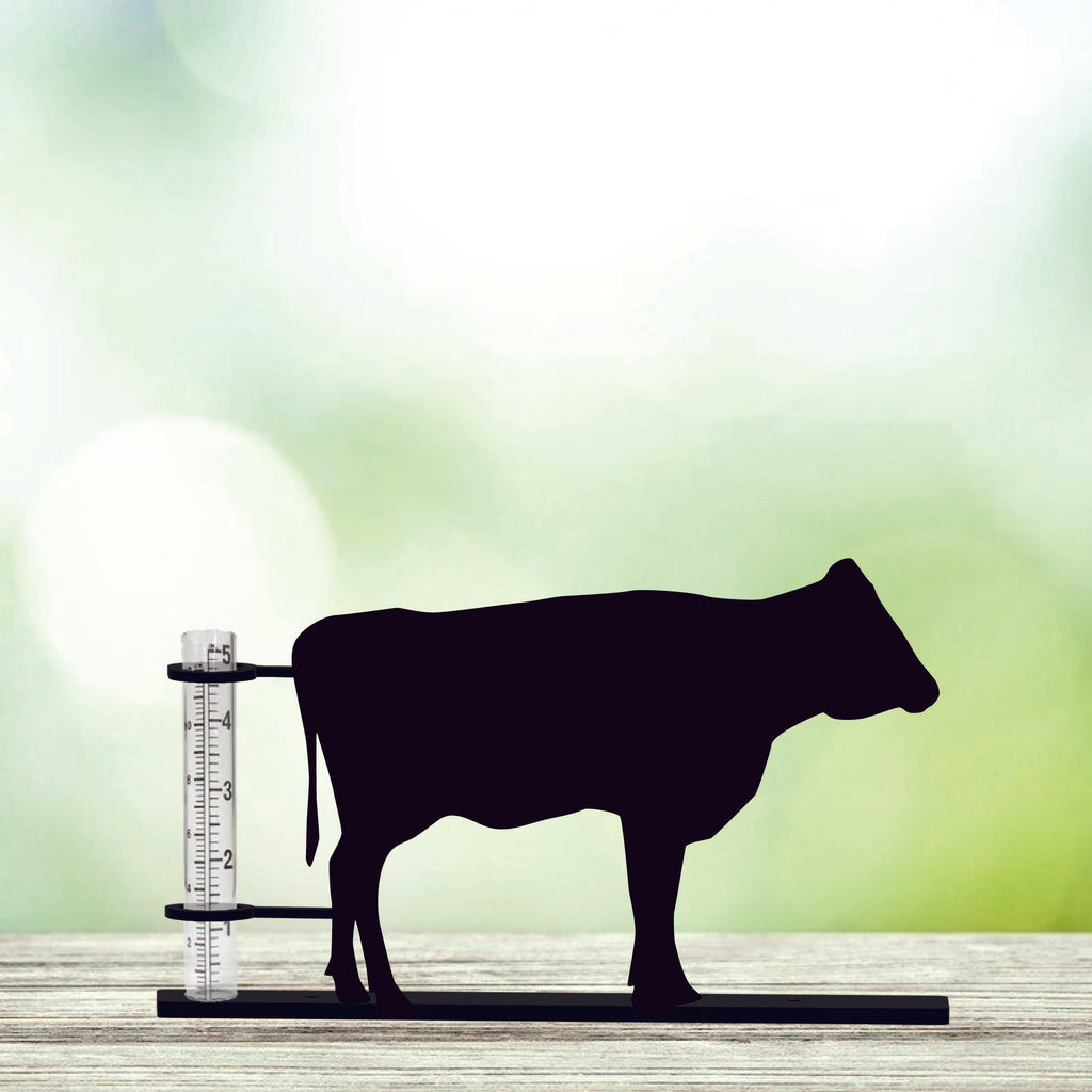 Cow - Rain Gauge