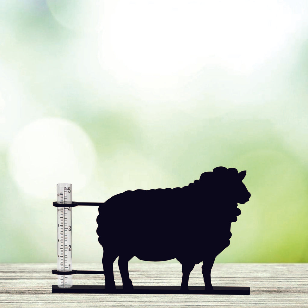 Sheep - Rain Gauge