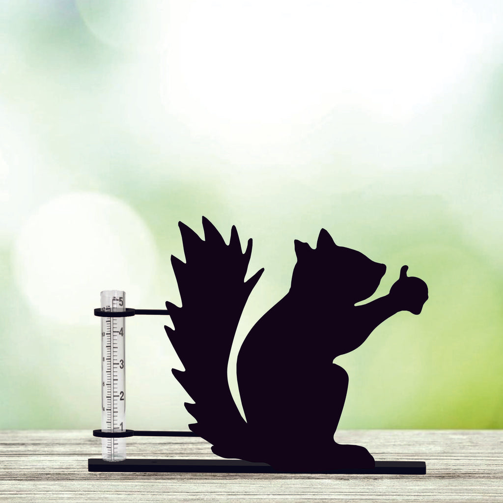 Squirrel - Rain Gauge