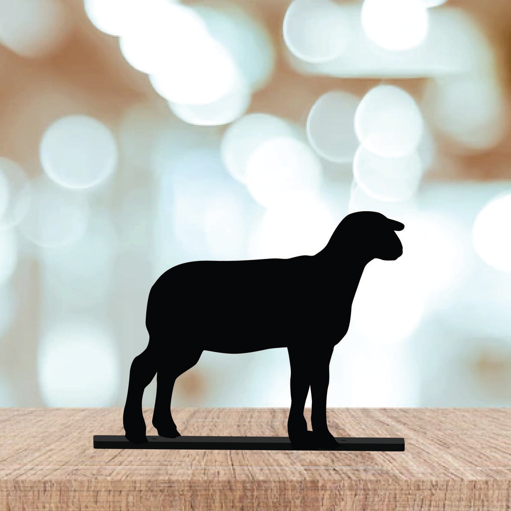 Show Lamb - Shelf Sitter