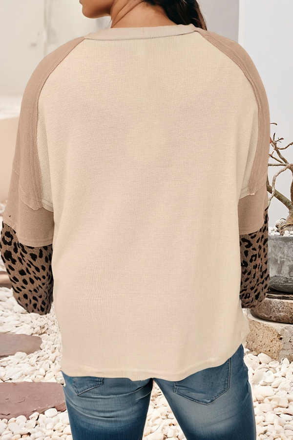 Leopard Star Applique & Panels Pullover