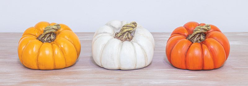 Autumn Patch Pumpkin Decor