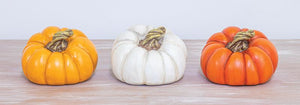 Autumn Patch Pumpkin Decor