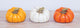 Autumn Patch Pumpkin Decor