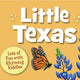 Little board books