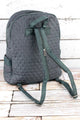 Back Pack Diaper Bag